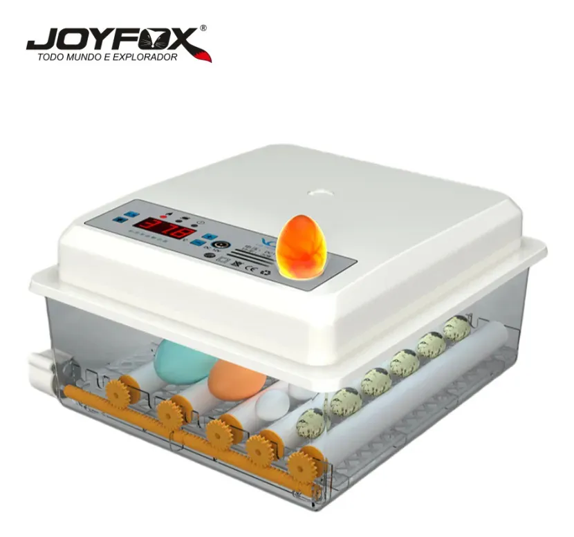 chocadeira automatica para iniciantes
